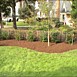 Flowerbed & Shrub Maintenance